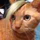 Image for article titled Some of Japan's Most Memorable Twitter Pics of 2014